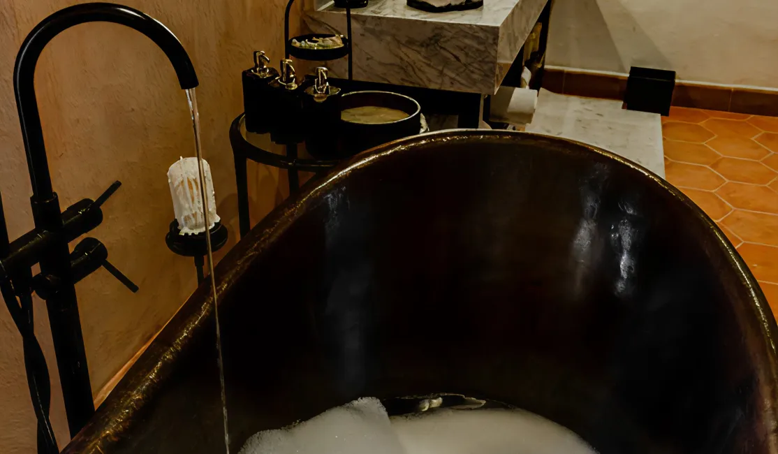 vexus-barbara-slider-001 2