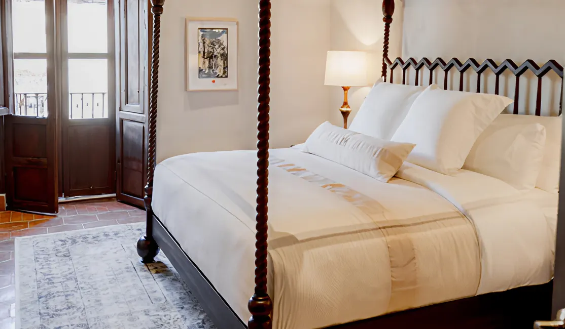 vexus-barbara-slider-002 2